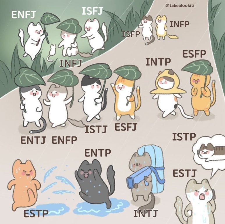 아엠 이미지