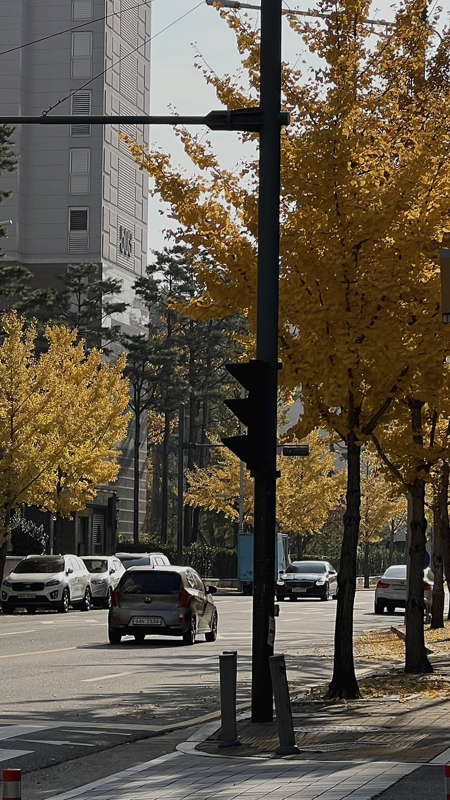 나운헤어샵 이미지