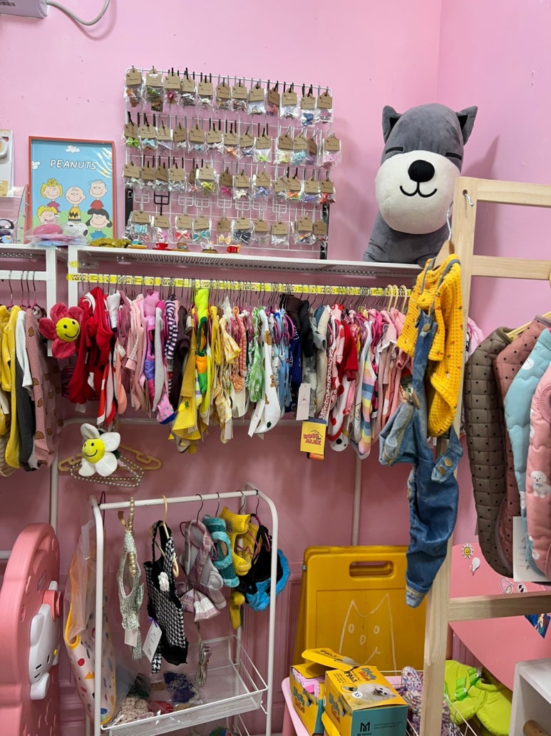제이무드 이미지