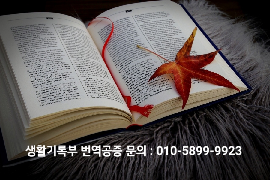 엘케이행정사무소 이미지