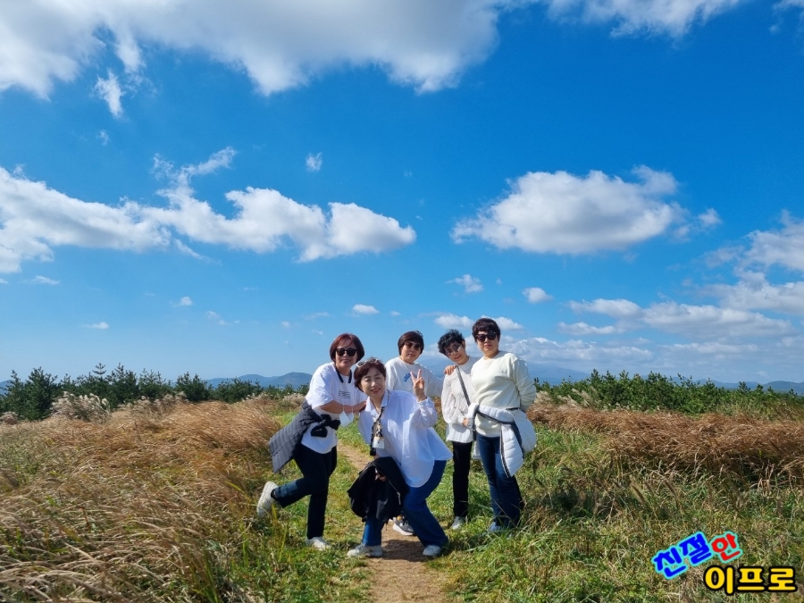 프로렌트카 이미지