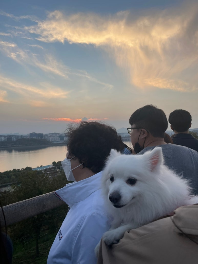 한강세무회계 이미지