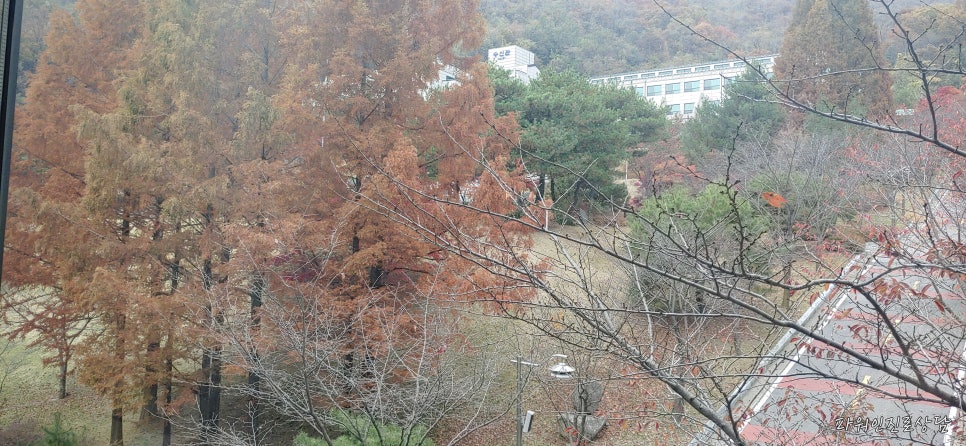 한국생애설계교육원 이미지