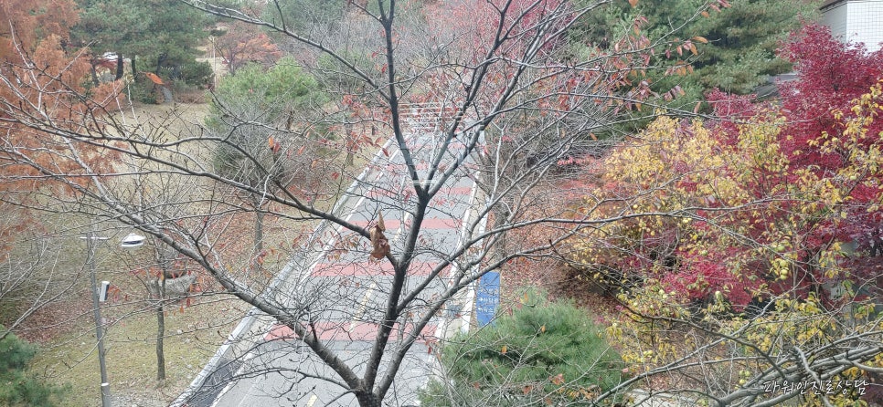 한국생애설계교육원 이미지