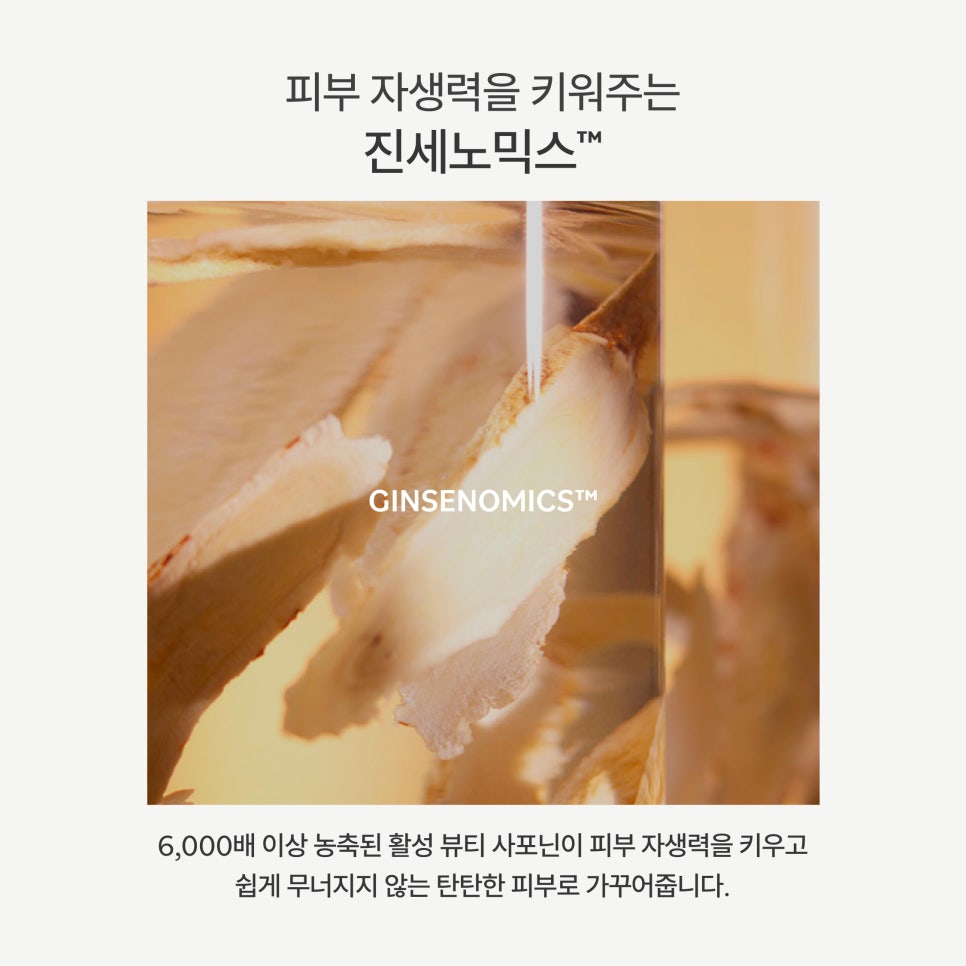 뉴기프트 이미지