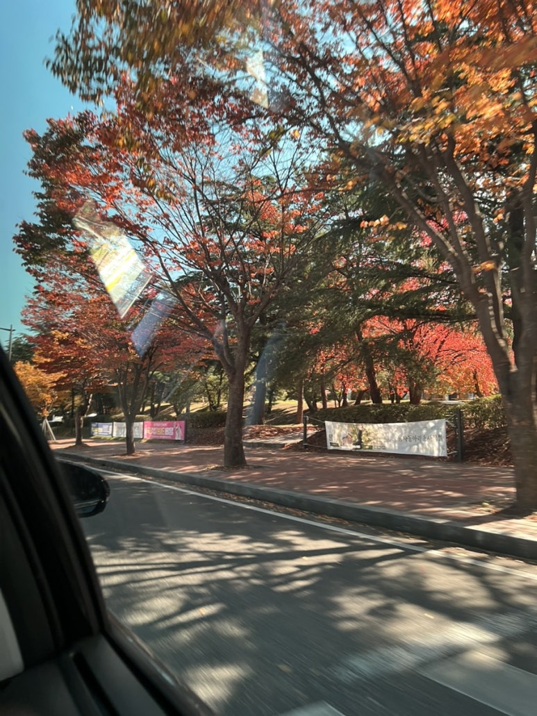 금화한식뷔페 이미지