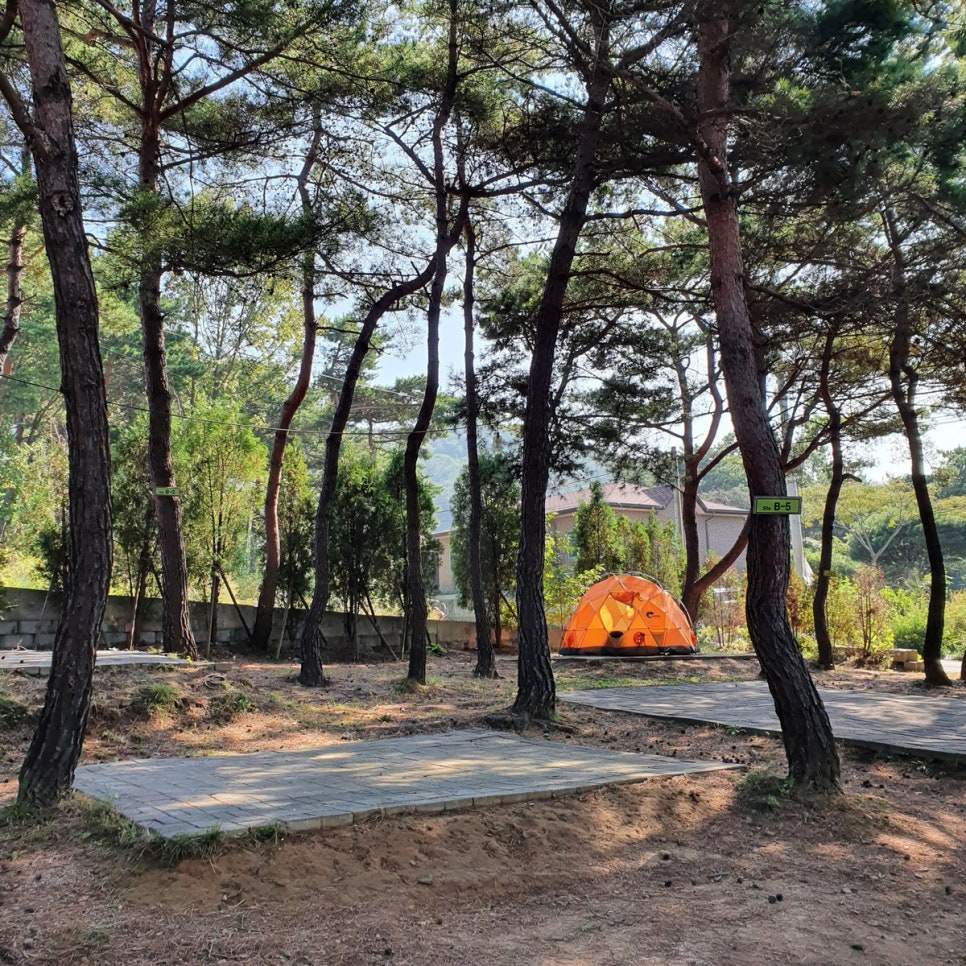 명성리조텔 이미지