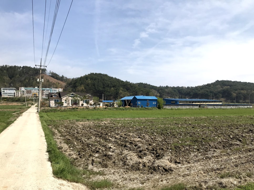 장흥농협주유소 이미지