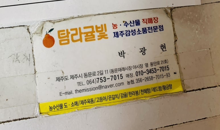 탐라귤빛 이미지
