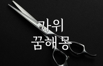가위요정 이미지