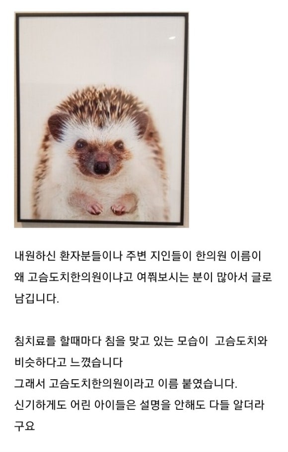 고슴도치한의원 이미지