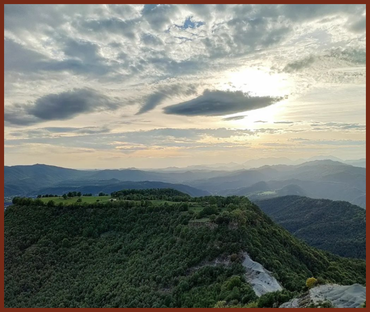 올리브외식산업 이미지