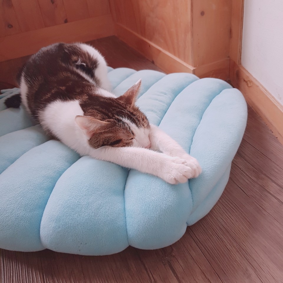 성공세무회계 이미지