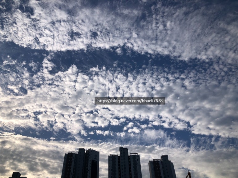리앙사안 이미지