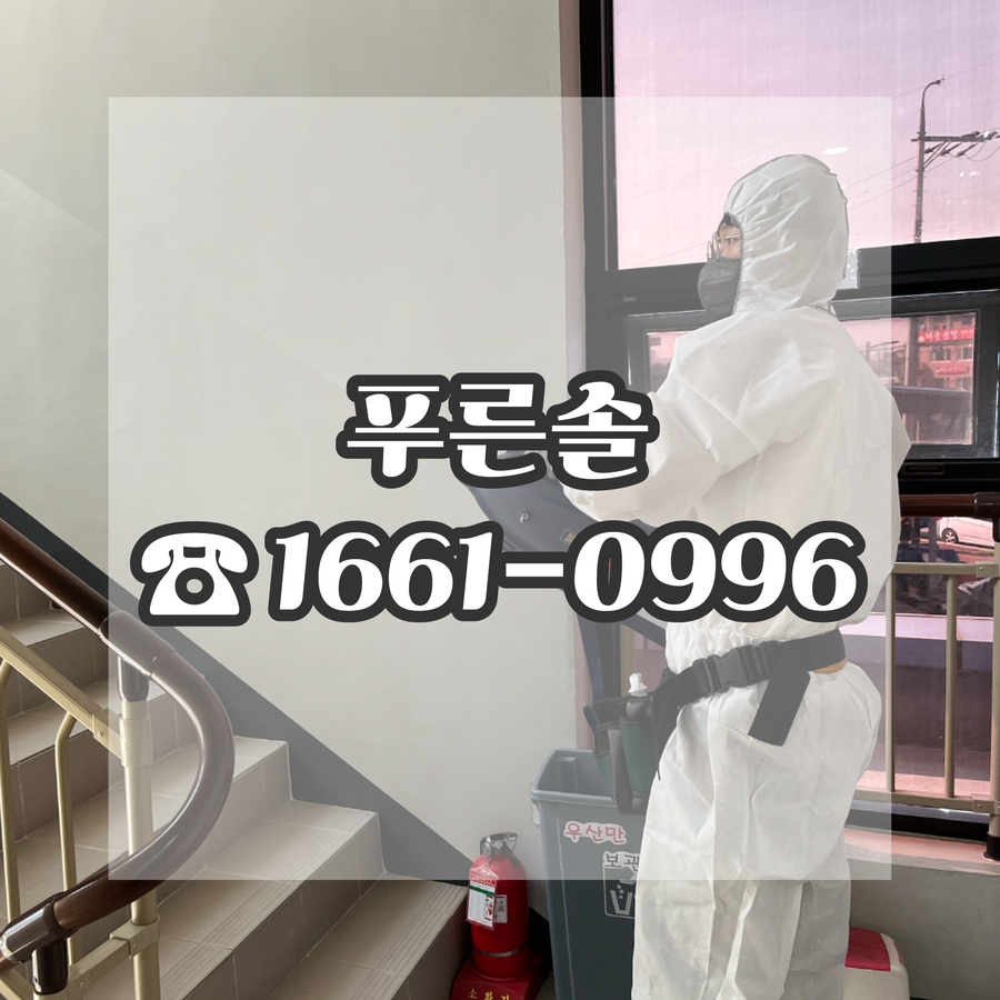 푸른종합관리 이미지
