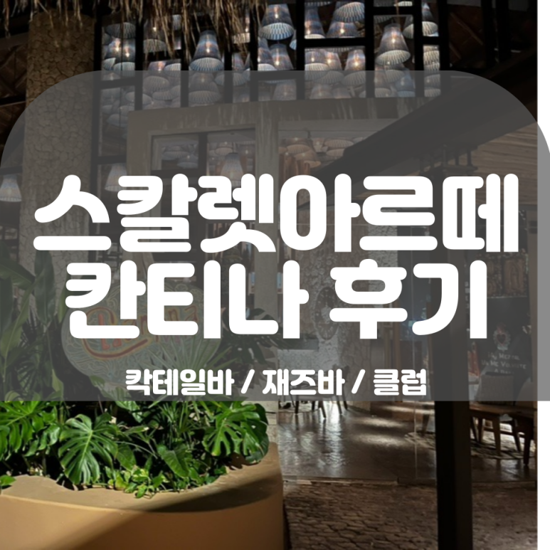 브이아이피클럽 이미지