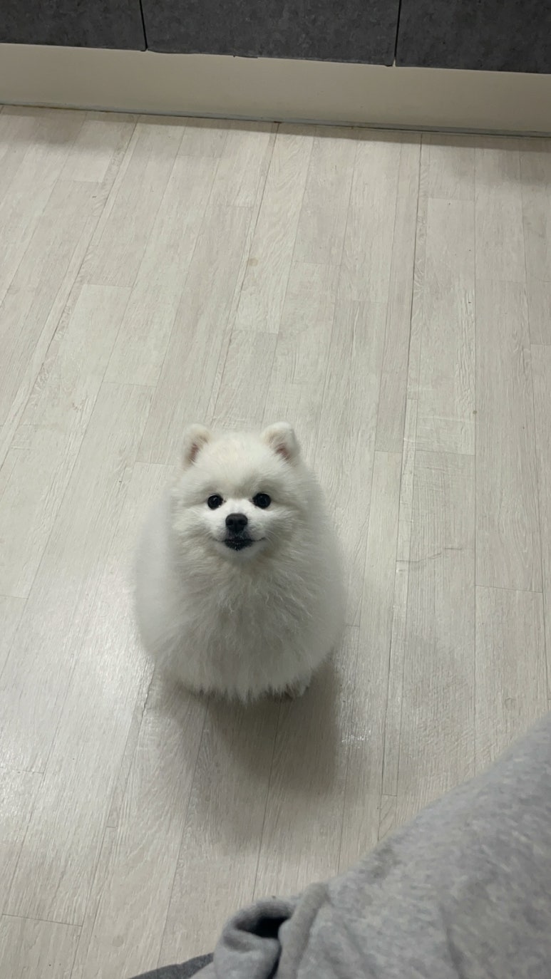 늘빛나 이미지