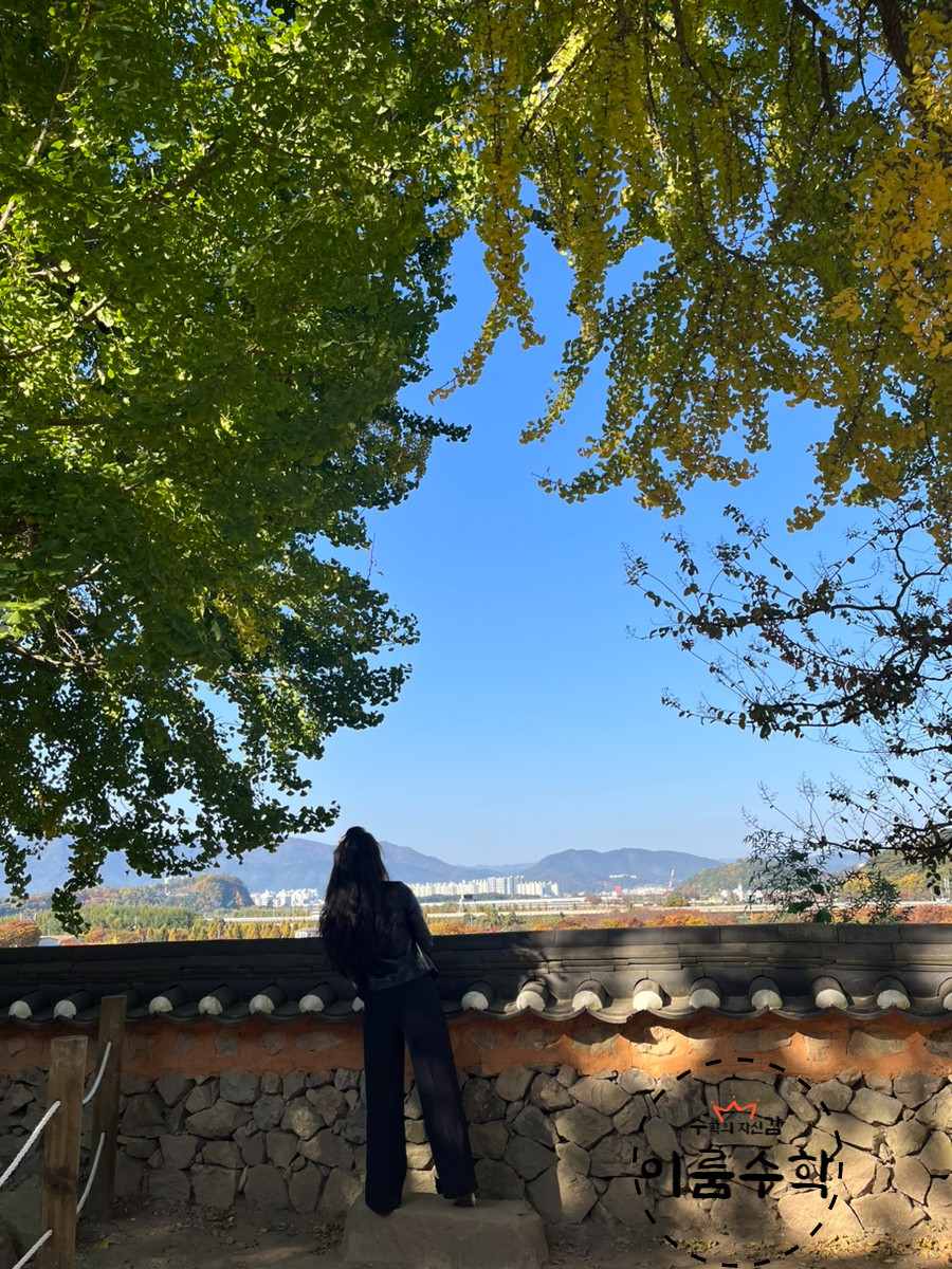 (주)여행과나무 이미지