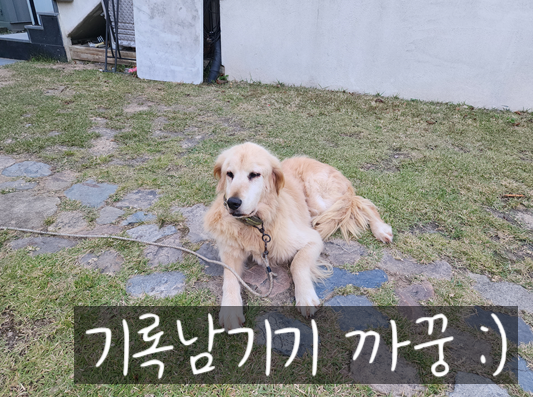 산내하이원펜션 이미지