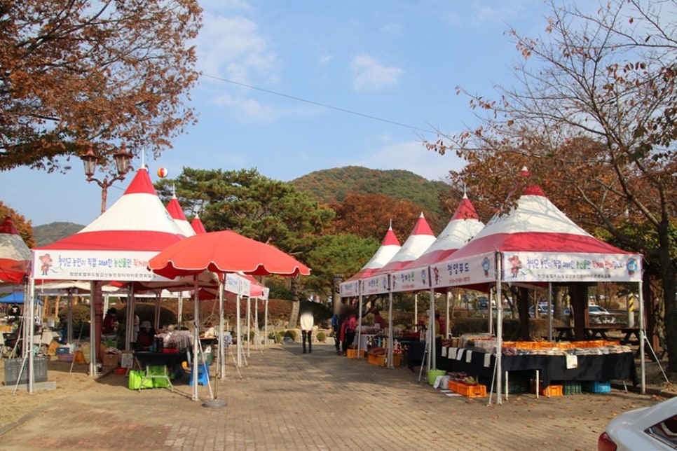 칠갑산마트 이미지