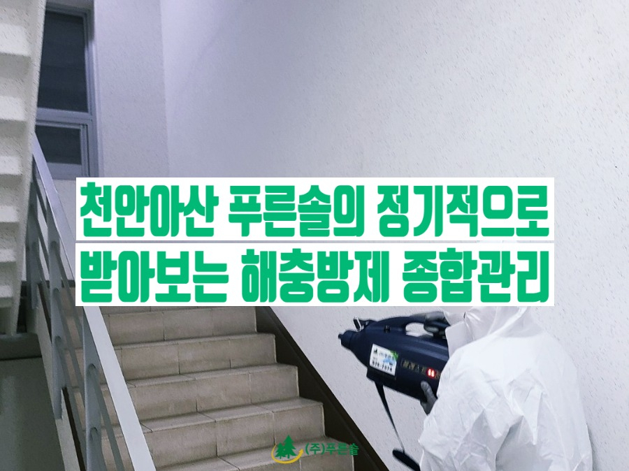 푸른종합관리 이미지