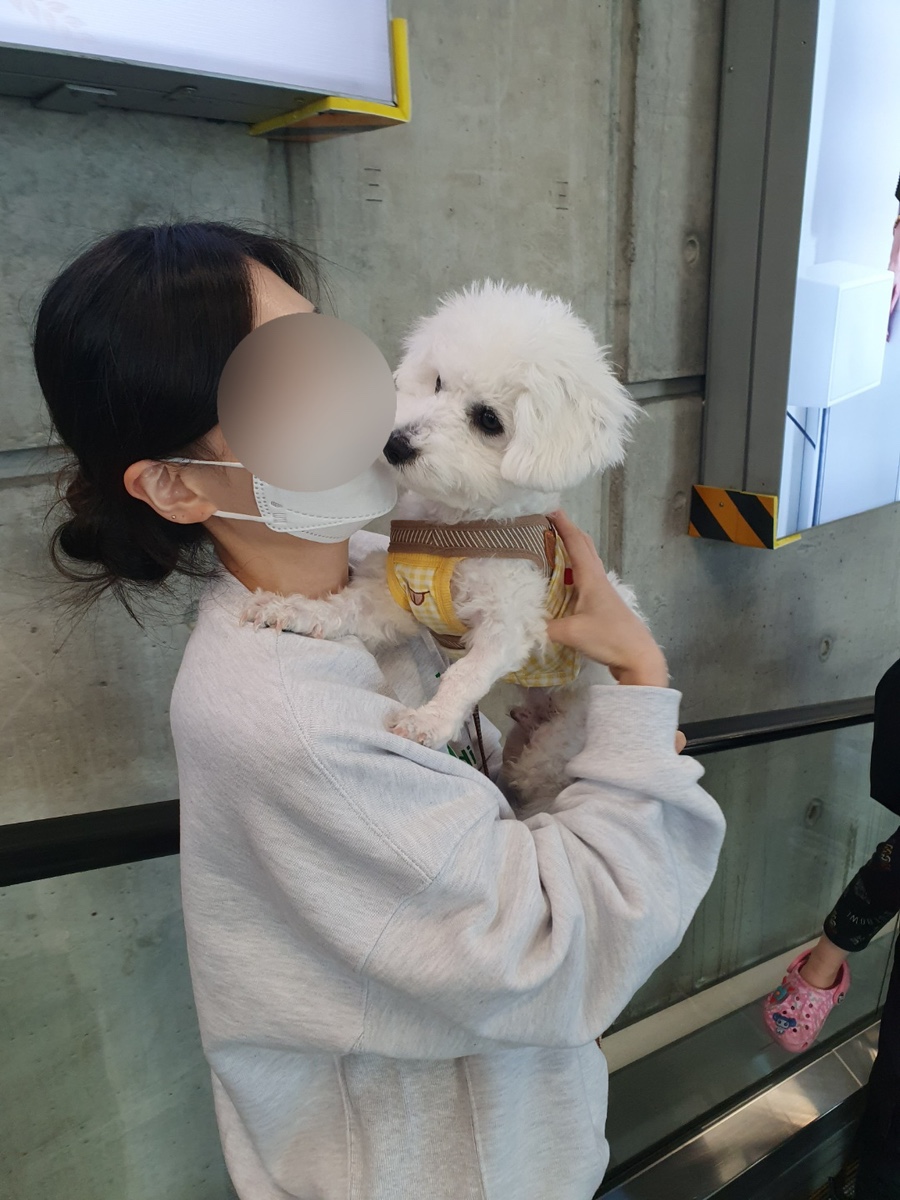 수진헤어샵 이미지