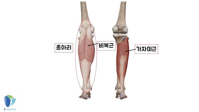 루케테 이미지