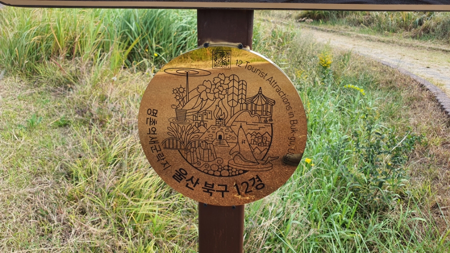 억세 군락지 이미지