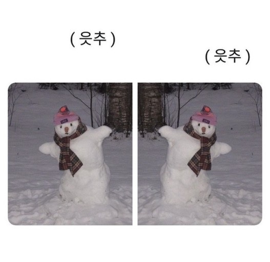 붕빵 이미지