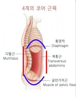 올데이코어 이미지