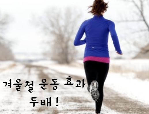 지애폴 이미지