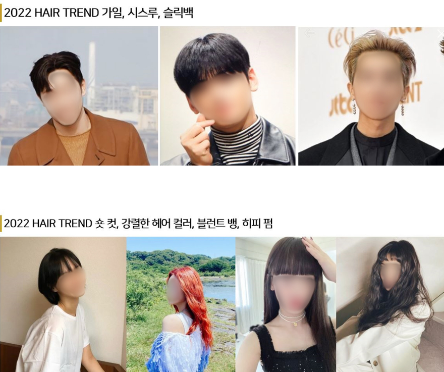다헤어 이미지