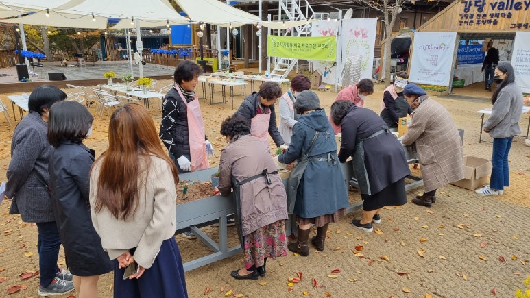 강당골대동계 이미지