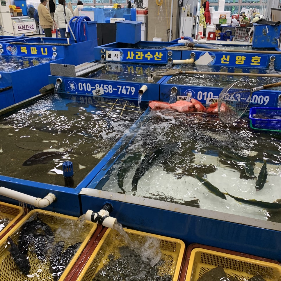 동해회대게수산 이미지