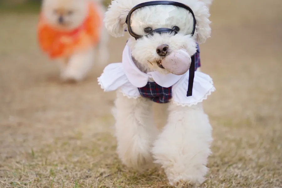 아이뚜리 이미지