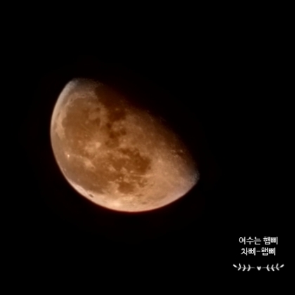 디오션크루즈 이미지