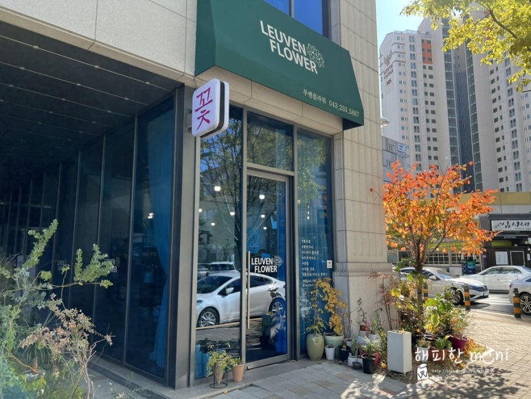 루벤플라워 이미지
