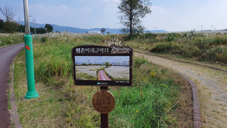 억세 군락지 이미지