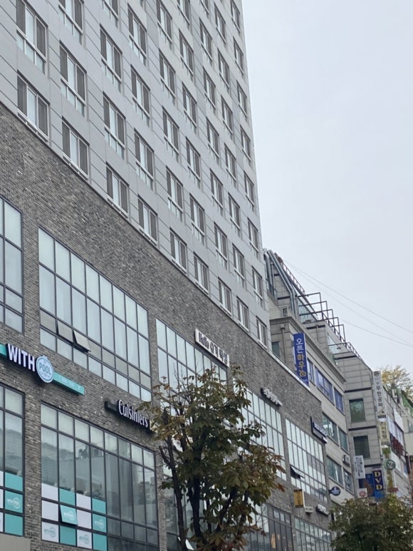 헬로슈가 이미지