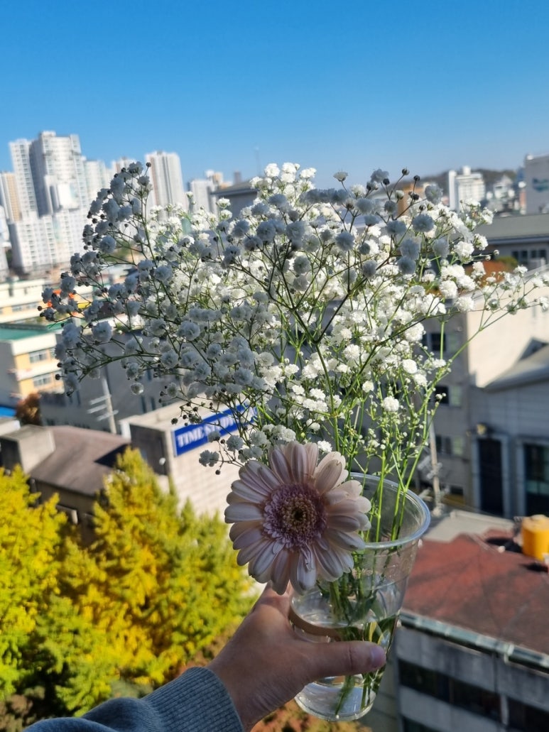 호연반점 이미지