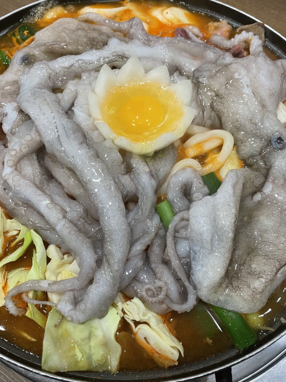 뻘속낙지 이미지