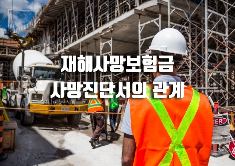 진성행정사사무소 이미지