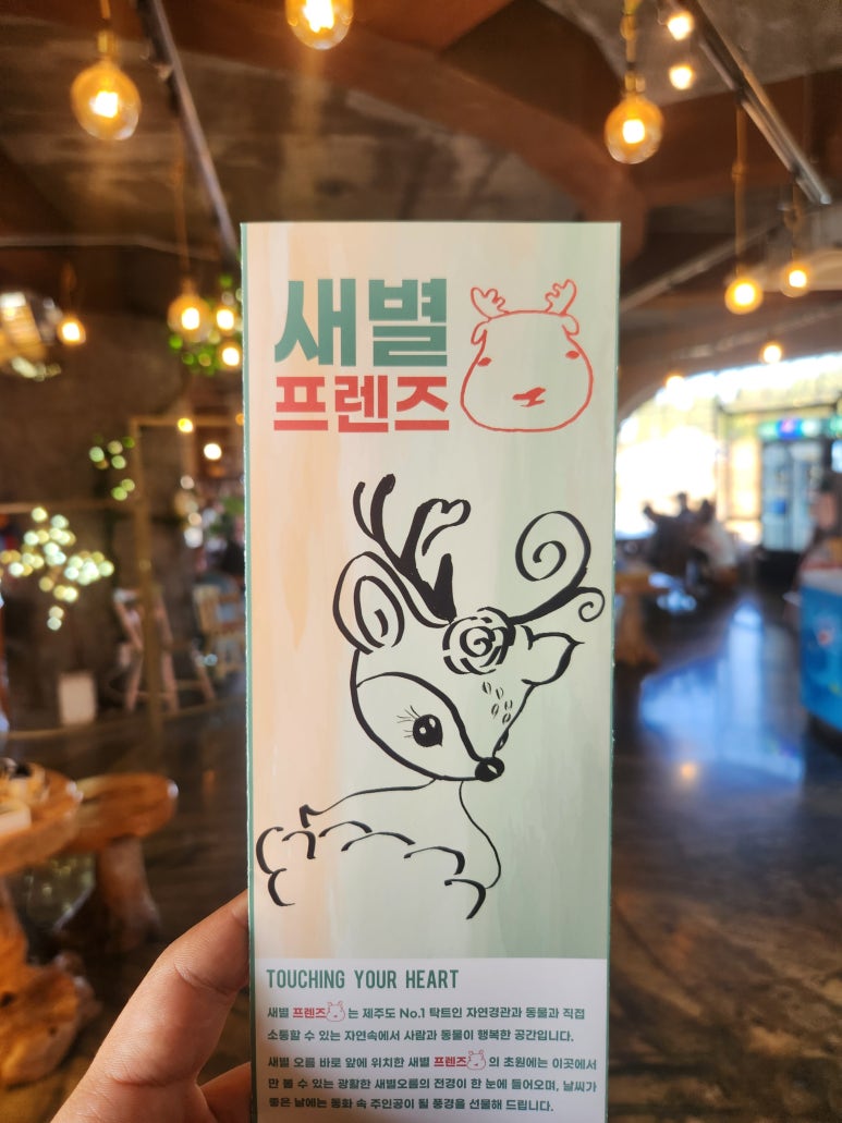빽다방제주연동사거리점 이미지