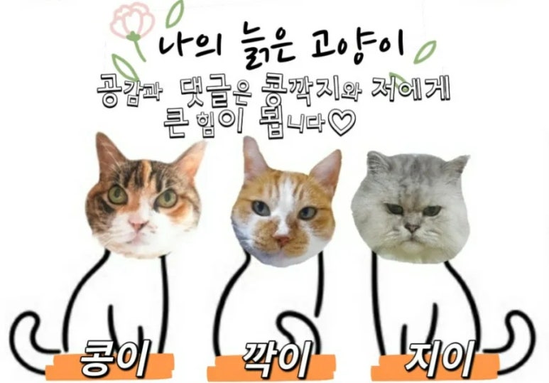 메인당구클럽 이미지