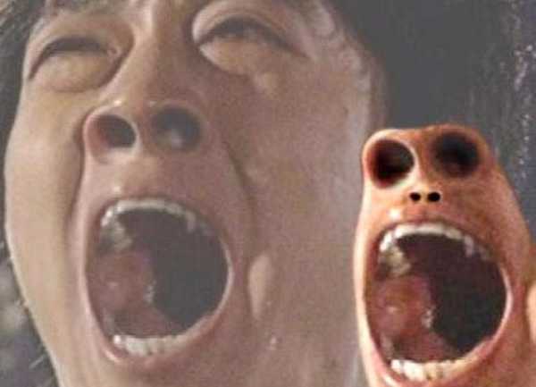 더페이퍼 이미지