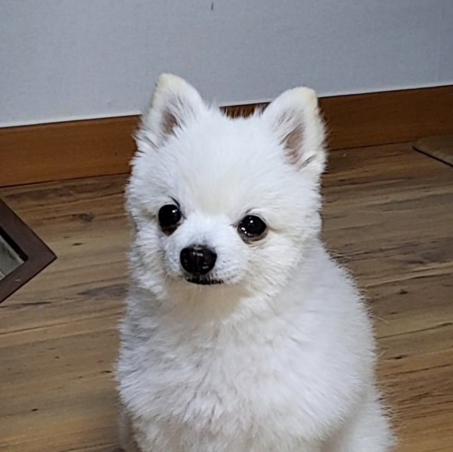 영이 가게 이미지