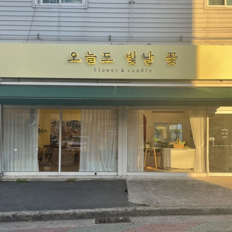 오늘도빛날꽃 이미지