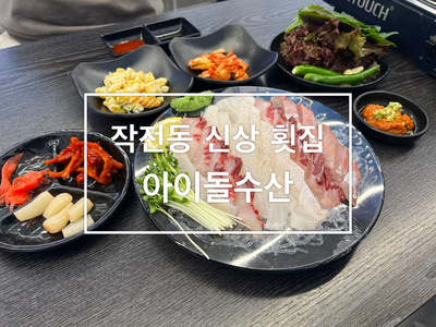 아이돌수산 이미지
