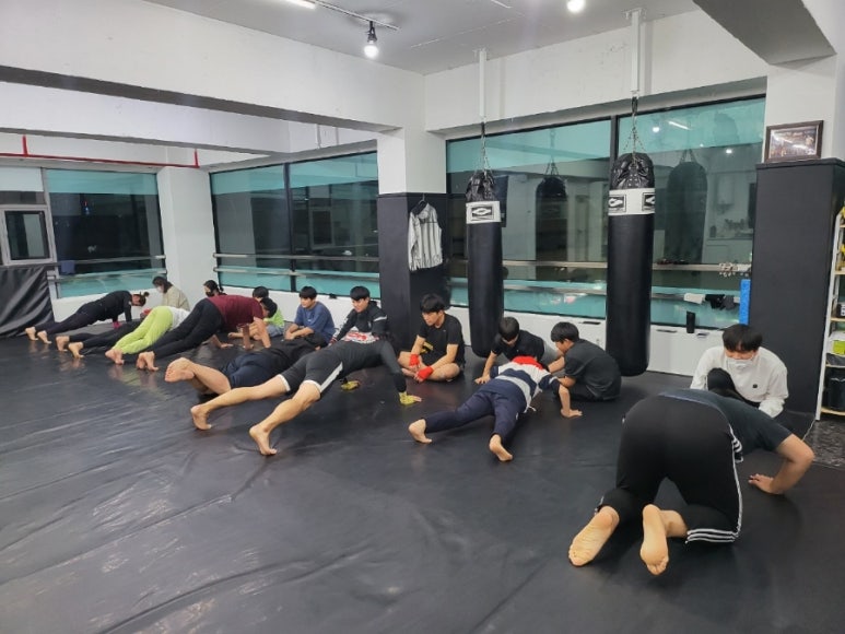 태평미트 이미지