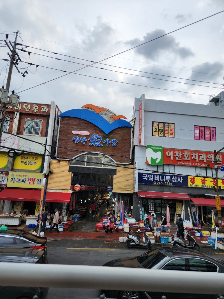 미스텀 투어 이미지